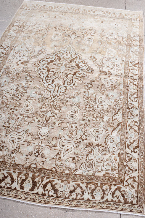 Antique Sarouk Area Rug (4' x 6')